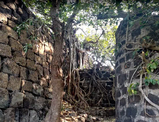 Bhvangad Fort